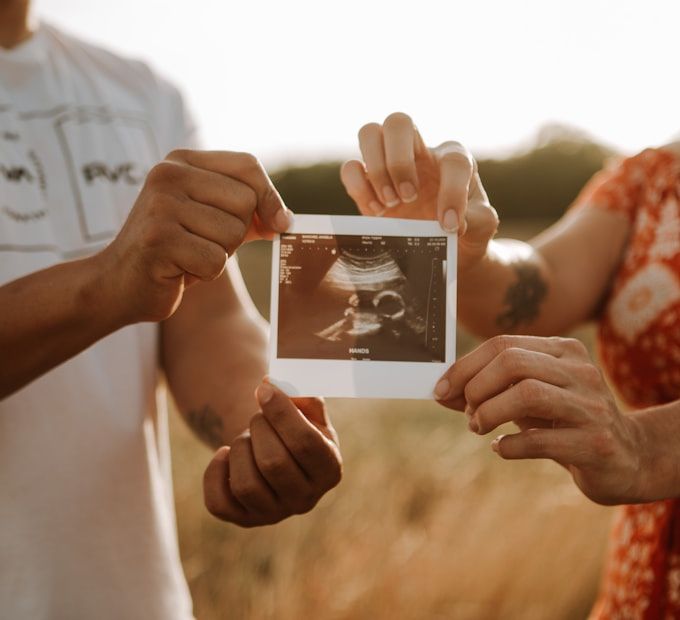 Family celebrates their pregnancy news outdoors